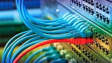 Close-up of blue and red Ethernet cables plugged into a network switch.