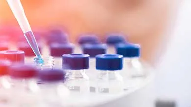 Laboratory pipette dispensing liquid into small sample vials arranged in a circular rack.