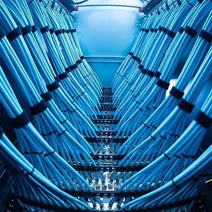 Low-angle view of two symmetrical rows of bright blue network cables, neatly bundled with black straps inside a server rack.